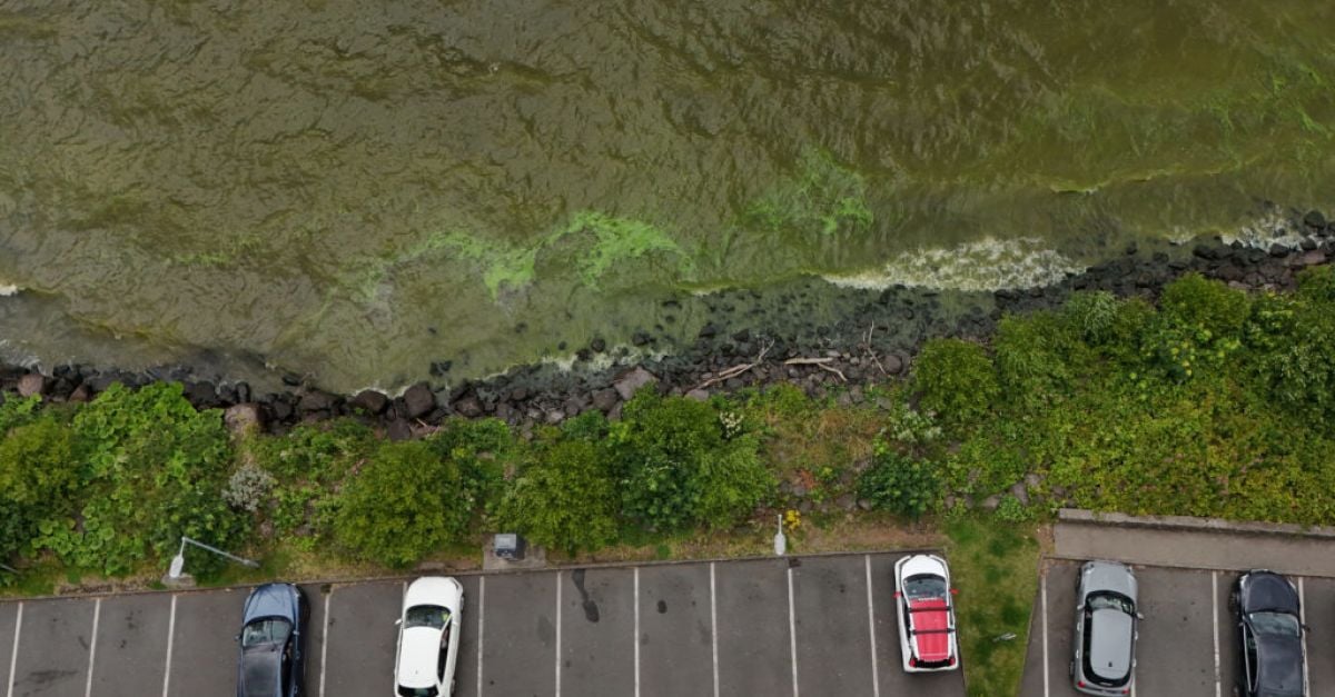 Мащабът на промяната, необходим за справяне с проблемите на Lough Neagh, е „безпрецедентен“