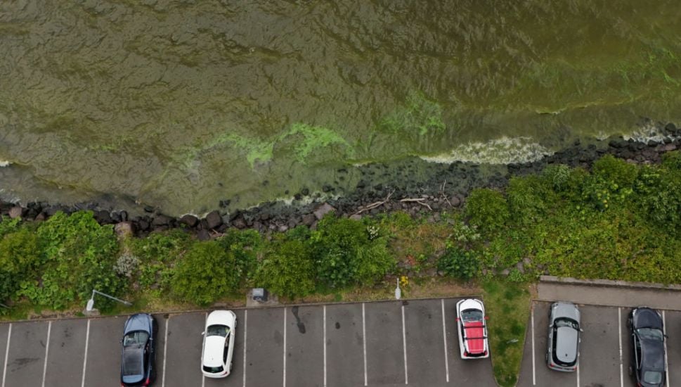 Scale Of Change Needed To Tackle Lough Neagh Problems 'Unprecedented'