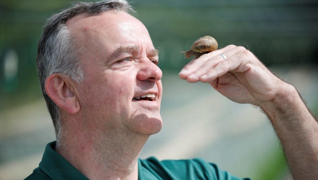 Monaghan farmer plays matchmaker with ‘lonely hearts’ snails