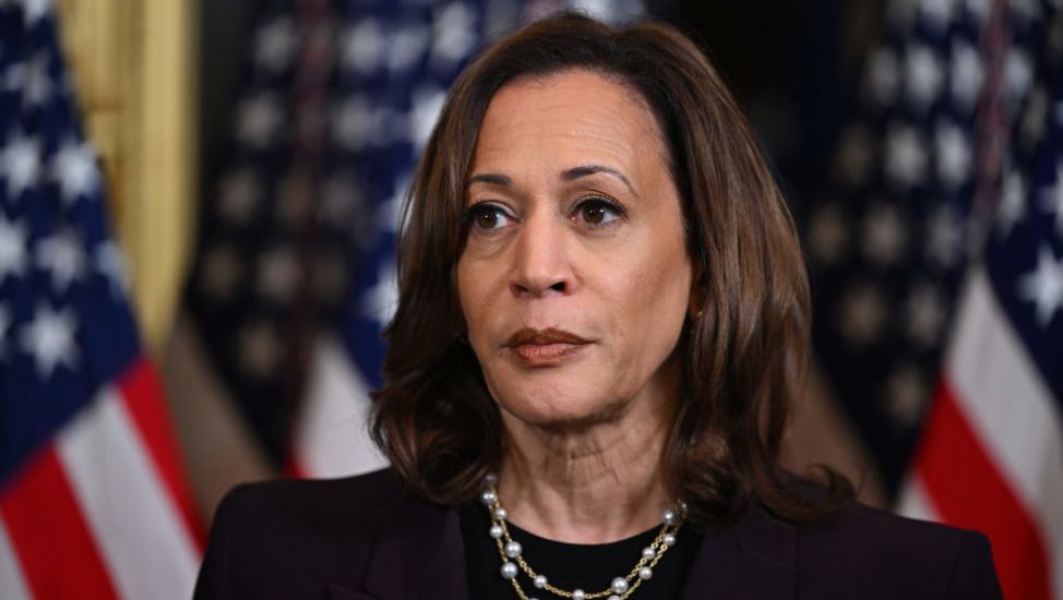 What Misinformation Has Been Shared About Kamala Harris?