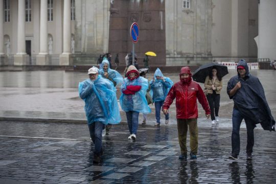 Woman Killed By Falling Tree As Lithuania And Latvia Hit By Powerful Storm