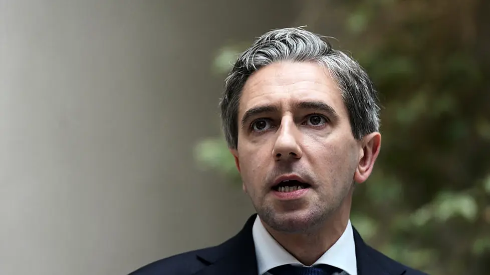 Woman (60S) Arrested Over Alleged Harassment Of Taoiseach Simon Harris At His Home