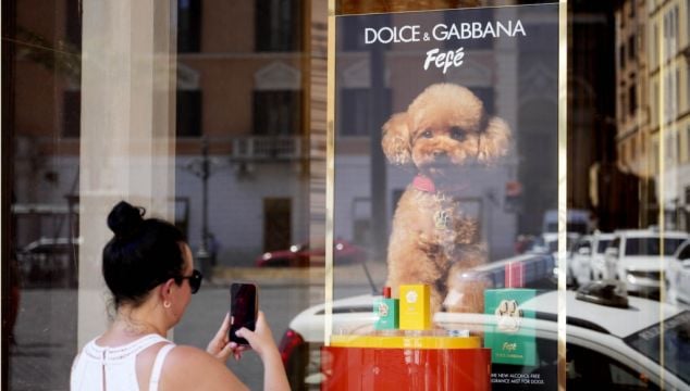 Dolce & Gabbana Launches New Perfume For Dogs