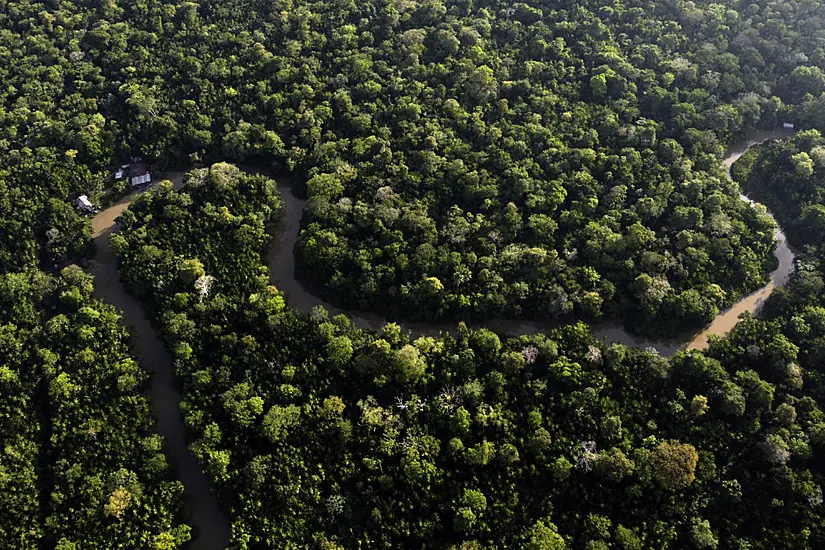 Amazon Deforestation In Brazil ‘Down To Lowest Level Since 2016’