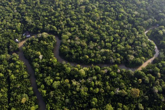 Amazon Deforestation In Brazil ‘Down To Lowest Level Since 2016’