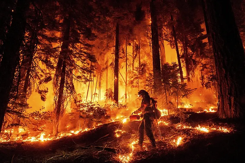 Huge California Wildfire Burns Through Timber In Hot And Dry Weather