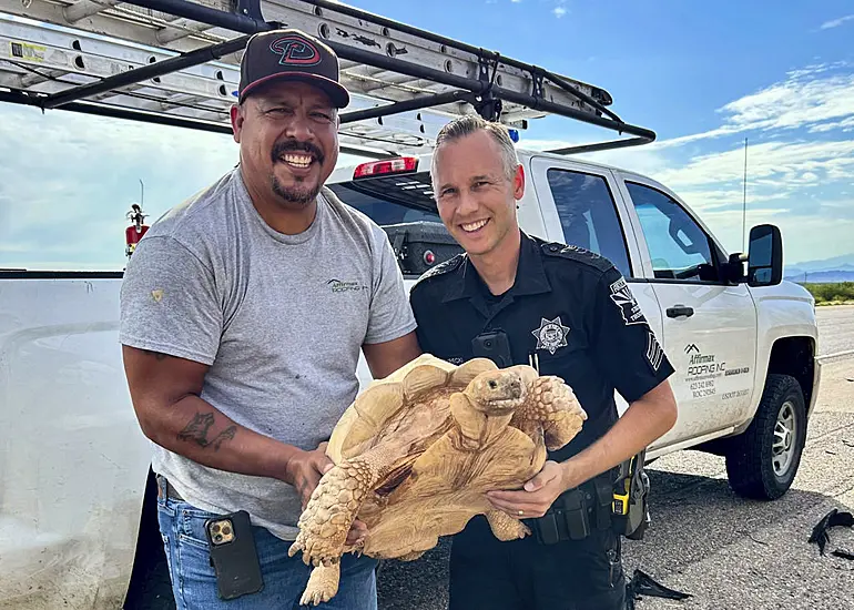 Large Tortoise Rescued From Arizona Highway After Escaping From Ostrich Ranch