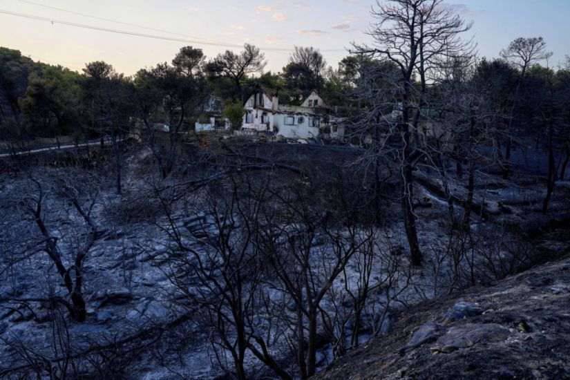 Greece Wildfire Burned Through 40 Square Miles Of Land