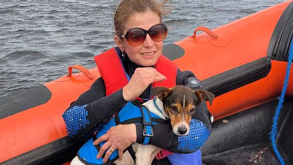 Jack Russell Dog Rescued From Lough Ree This Morning