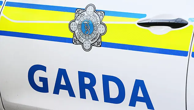 Gardaí Appeal For Witnesses Following Serious Co Kilkenny Collision