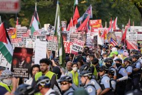 Pro-Palestinian Protests Continue Outside Democratic Convention