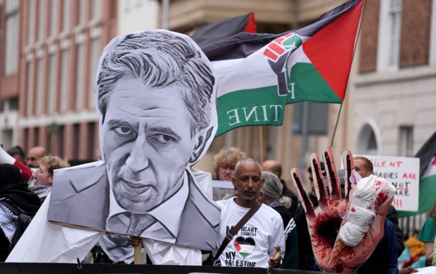 ‘Stop The Genocide’: Pro-Palestine Protest Held Outside Leinster House