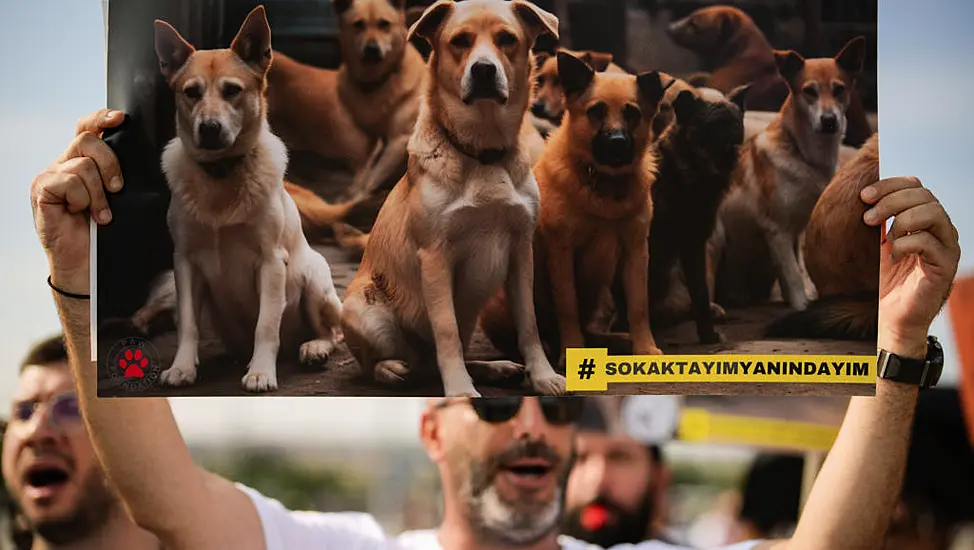 Thousands Of Turks Protest Against Controversial Law To Remove Stray Dogs