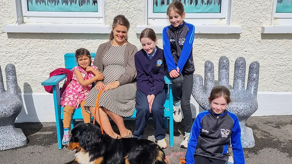 Mali The Miracle Dog Reunited With Schoolgirls Who Spotted Her On Cliff-Edge