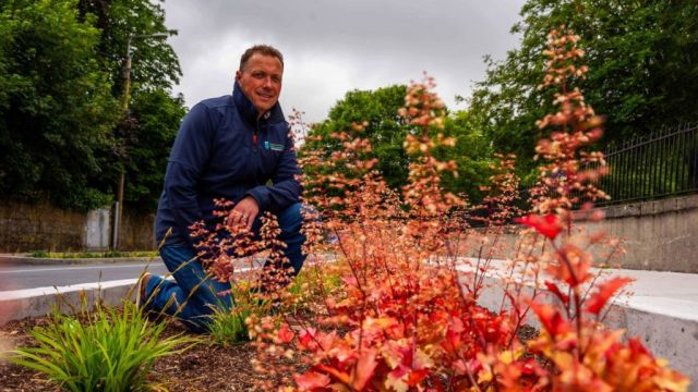 Carlow Town Cleans Up At European Competition For Environmental Excellence