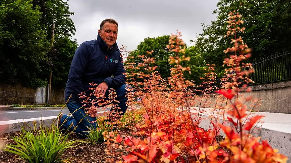 Carlow Town Cleans Up At European Competition For Environmental Excellence