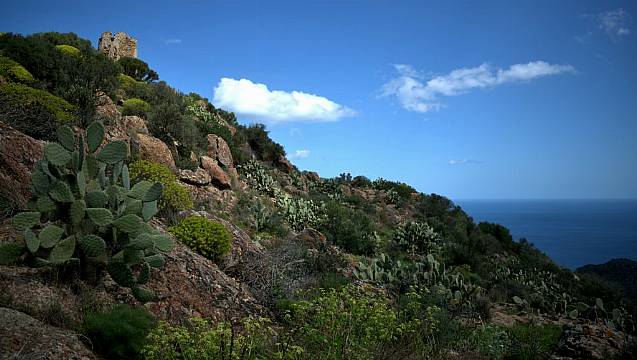 Body Recovered In Search For Irish Hiker (39) Last Seen In Sardinia On Friday