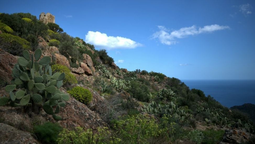 Body Recovered In Search For Irish Hiker (39) Last Seen In Sardinia On Friday