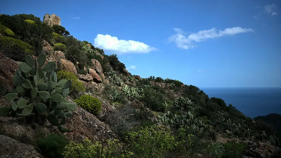 Body Recovered In Search For Irish Hiker (39) Last Seen In Sardinia On Friday