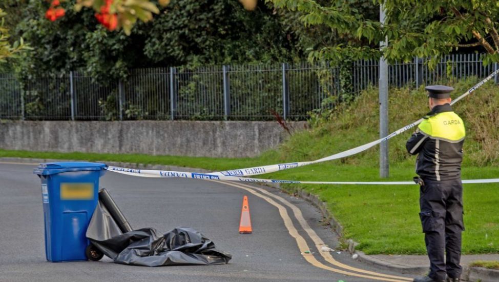 Man In Critical Condition After Being Found With Head Injuries In Ennis