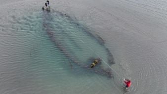 Analysis Continues Into Historical Shipwrecks Found Off Dublin Coast