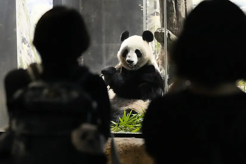 Tearful Japanese Queue For Hours To Bid Farewell To Pandas