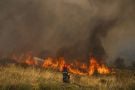 Greek Firefighters Make Progress In Taming Deadly Forest Blaze Burning For Days