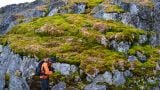 Scientists ‘Shocked’ As Parts Of Antarctica Turning Green At ‘Dramatic’ Rate