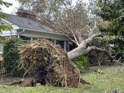 Harris Follows Trump To North Carolina To Survey Hurricane Helene’s Aftermath