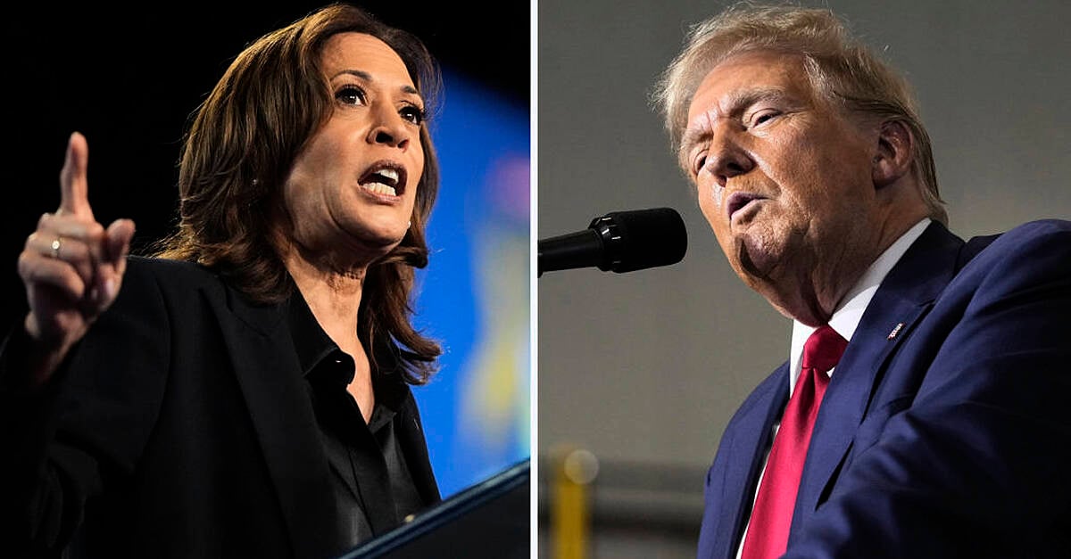 US national debt could rise under Harris - but would surge under Trump - report