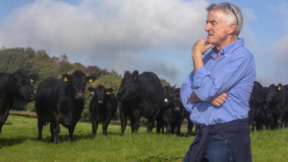 Michael O’leary ‘Astonished’ By Green Power Of His Farm’s Solar Panels