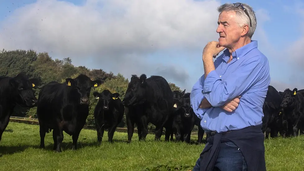 Michael O’leary ‘Astonished’ By Green Power Of His Farm’s Solar Panels