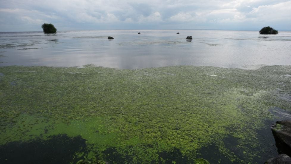 Blue-Green Algae On Ireland's Largest Lake To Be Observed From Space