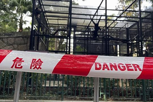 Hong Kong Zoo Probes Deaths Of Nine Monkeys In Two Days