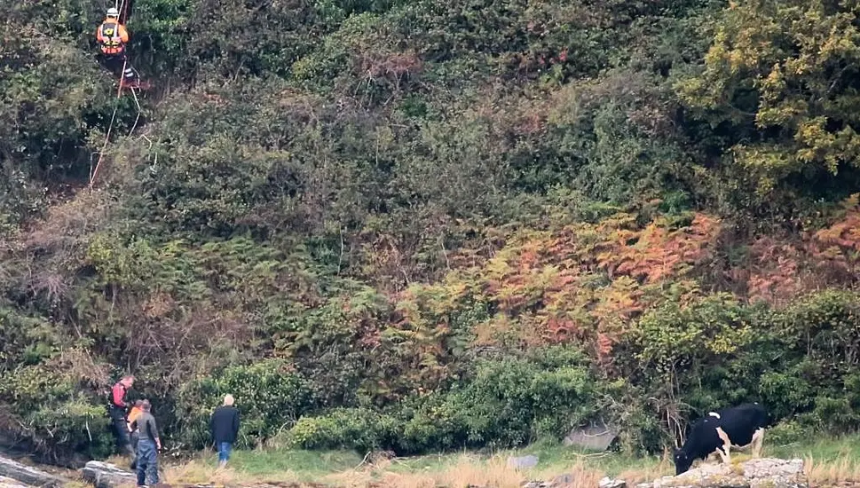 Irish Coast Guard Rescues Stranded Cow On Donegal Shores