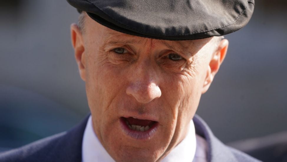 Man Guilty Of ‘Intimidating’ Td Michael Healy-Rae Must Do Diy And Community Work