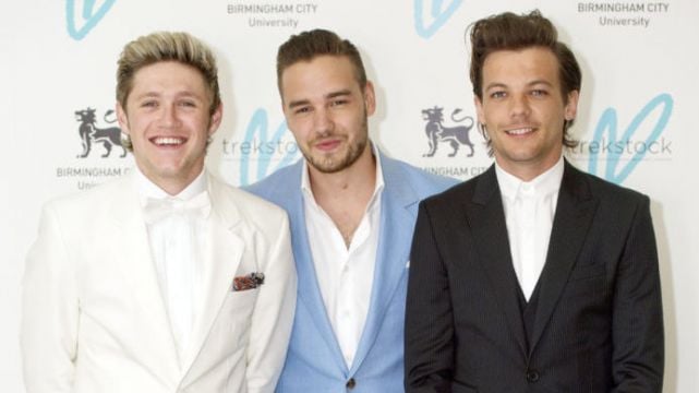 Niall Horan: I Will Cherish Every Moment With Liam Payne Forever