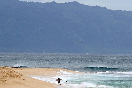 Shark Bites 61-Year-Old Us Surfer, Severing His Leg Below The Knee