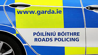 Gardaí Appeal For Witnesses To Dublin Crash Between Car And Pedestrian