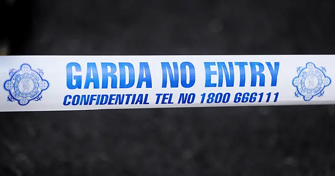 Improvised Bombs Found During Garda And Army Searches In Limerick
