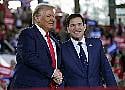 Trump Picks Marco Rubio To Be Secretary Of State