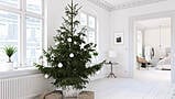 How To Have A Minimalist Christmas: Less Clutter More Joy