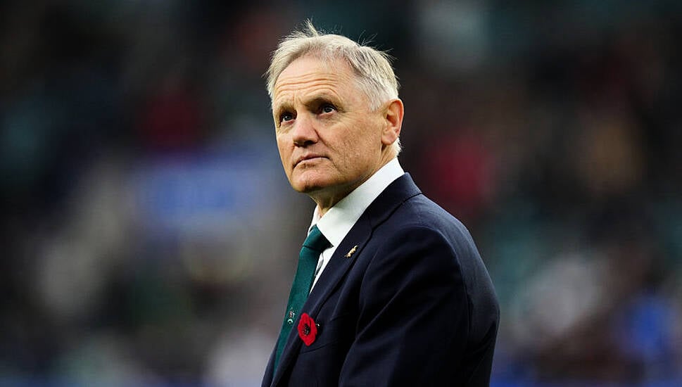 Joe Schmidt: Australia Still Have Work To Do Ahead Of Next Year’s Lions Series