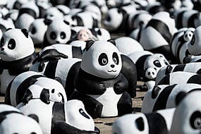 Hong Kong Launches Panda Sculpture Tour Amid Tourism Drive