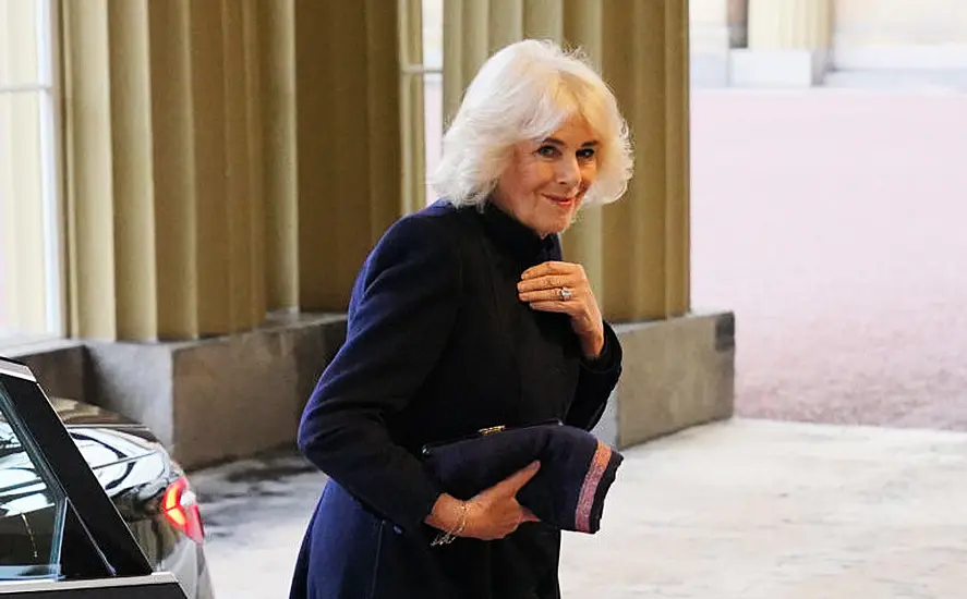 Britain's Queen Camilla Had 'Form Of Pneumonia’