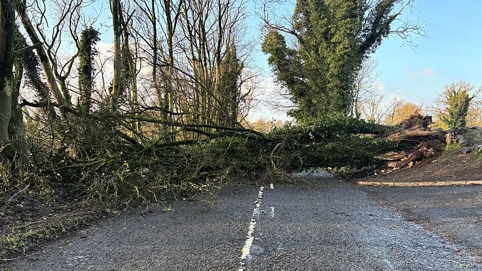 Storm Darragh: Crews Continue To Assess Damage As Thousands Remain Without Power