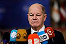 Scholz Dismisses Elon Musk’s Assertion Only Far-Right Party Can ‘Save’ Germany