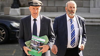 How The Healy-Rae Brothers Could Play Role In Government Formation