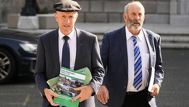 How The Healy-Rae Brothers Could Play Role In Government Formation