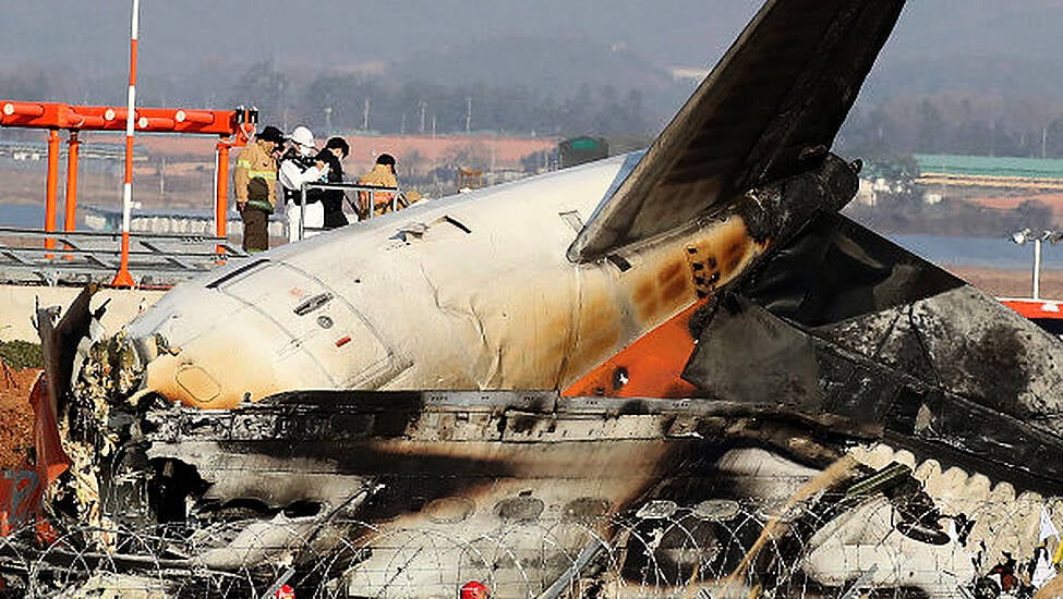 Did A Bird Strike Cause The South Korea Plane Crash? What We Know So Far